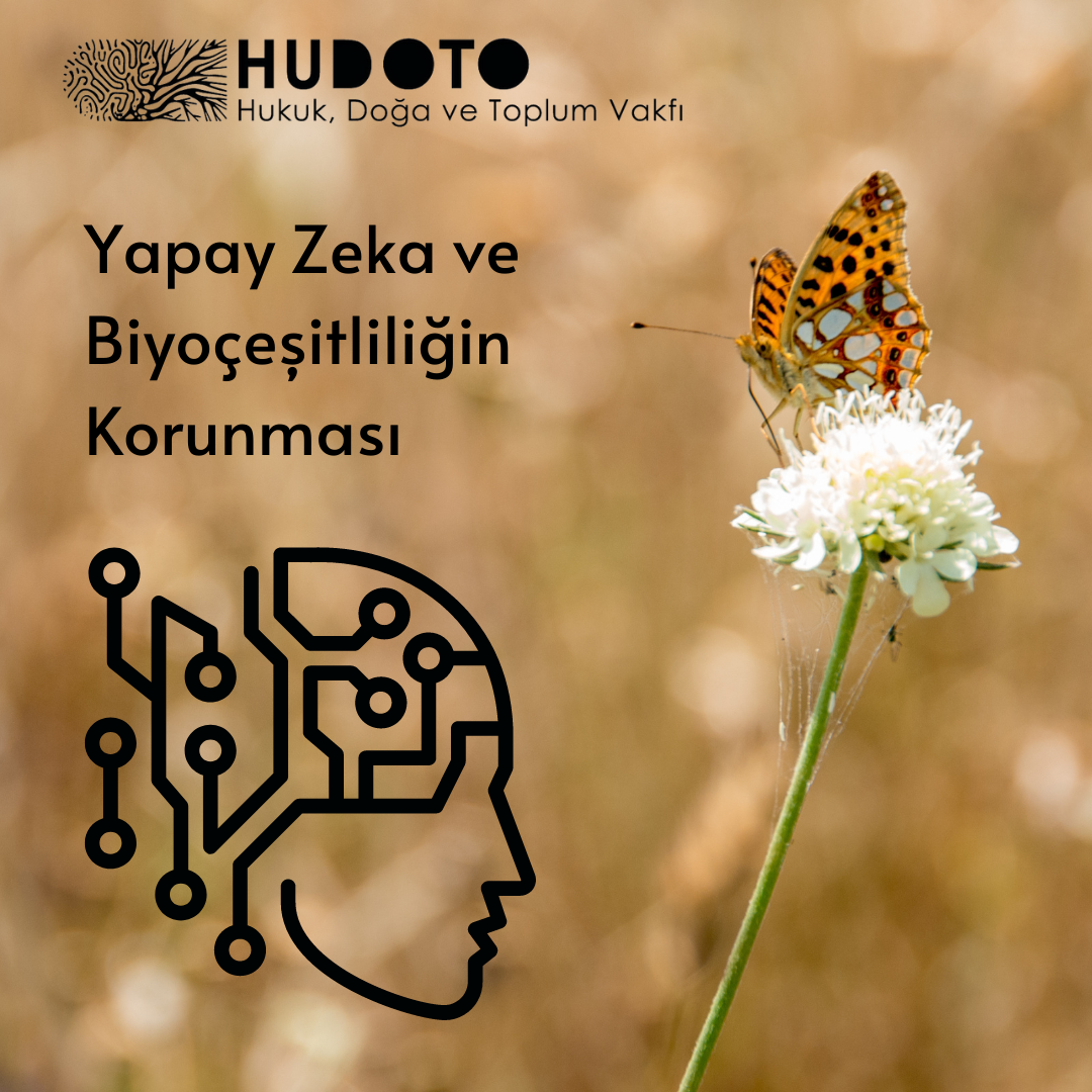 Yapay Zeka ve Biyoçeşitliliğin Korunması