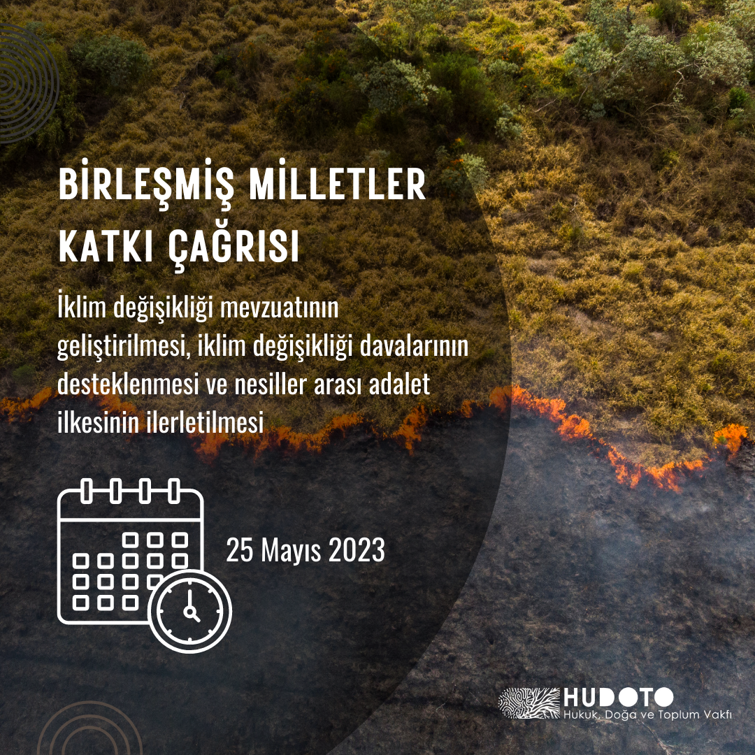 BM Katkı Çağrısı: İklim Değişikliği Mevzuatının Geliştirilmesi, İklim Değişikliği Davalarının Desteklenmesi ve Nesiller Arası Adalet İlkesinin İlerletilmesi