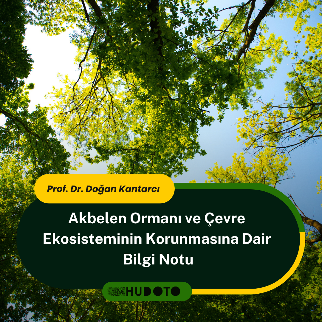 Akbelen Ormanı ve Çevre Ekosisteminin Korunmasına Dair Bilgi Notu