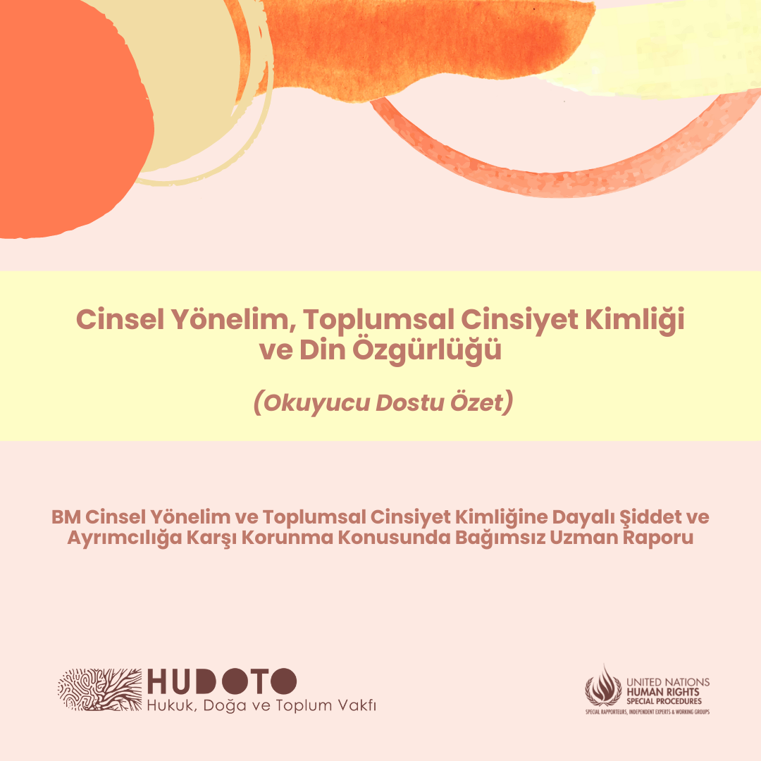 BM Uzman Raporu Okuyucu Dostu Özeti: Cinsel Yönelim, Toplumsal Cinsiyet Kimliği ve Din Özgürlüğü