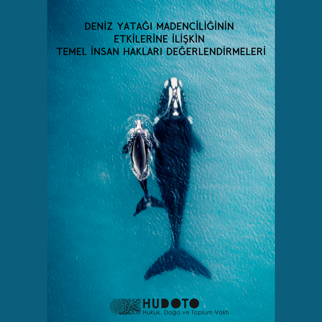 Deniz Yatağı Madenciliğinin Etkilerine İlişkin Temel İnsan Hakları Değerlendirmeleri