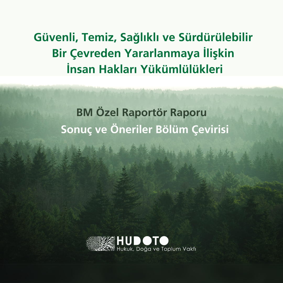 BM Raporu Sonuç ve Öneriler: Temiz Hava ve İnsan Hakları