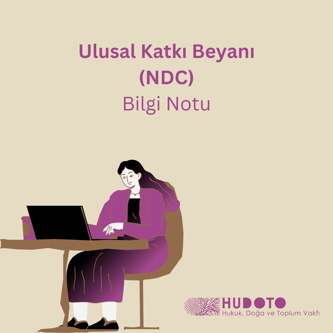 Ulusal Katkı Beyanı Bilgi Notu