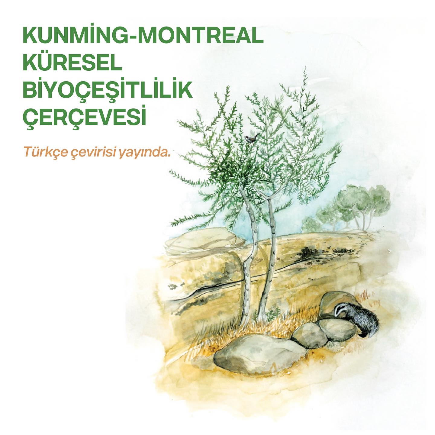 Kunming-Montreal Küresel Biyoçeşitlilik Çerçevesi Türkçe Çevirisi