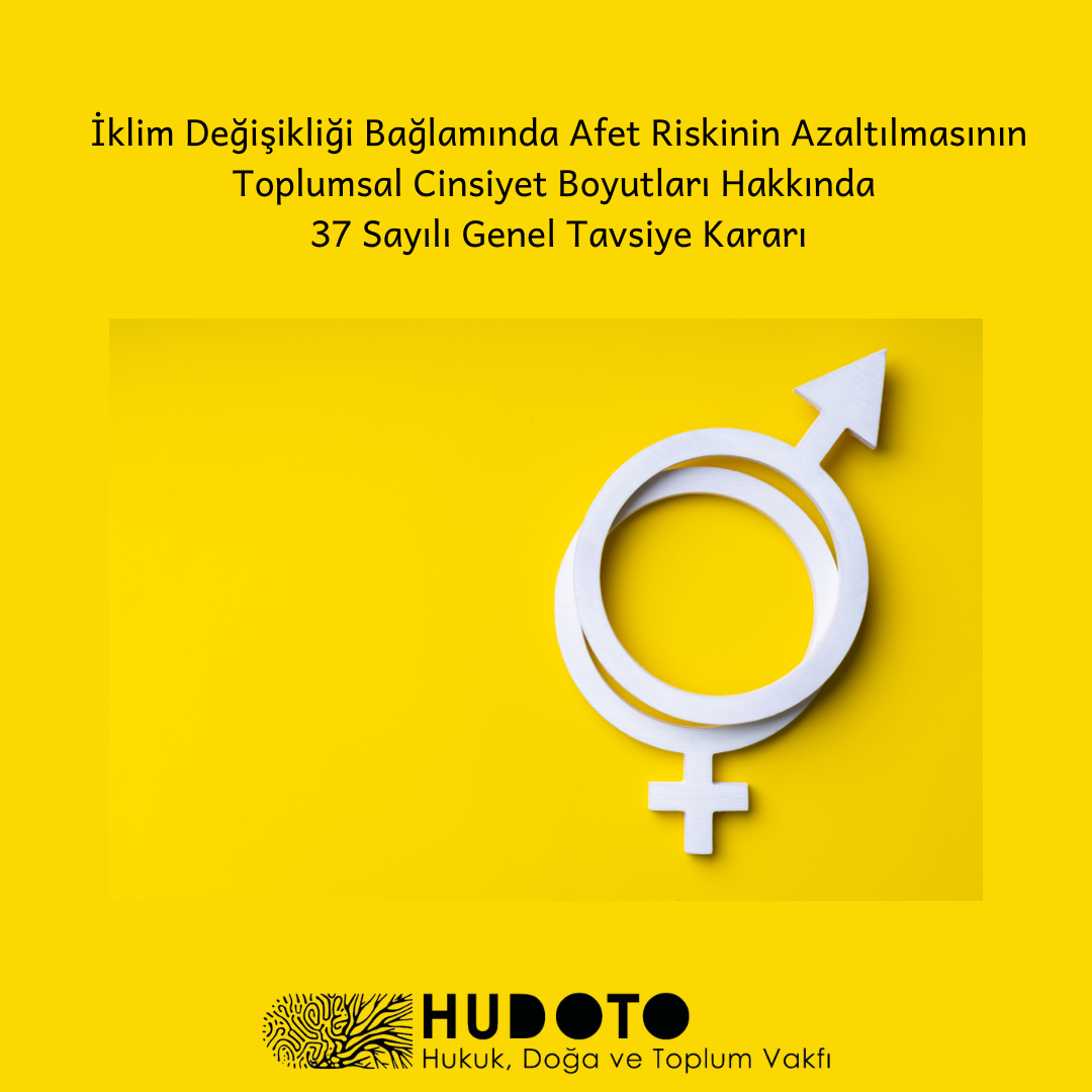 CEDAW İklim Değişikliği Bağlamında Afet Riskinin Azaltılmasının Toplumsal Cinsiyet Boyutları Hakkında  37 Sayılı Genel Tavsiye Kararı