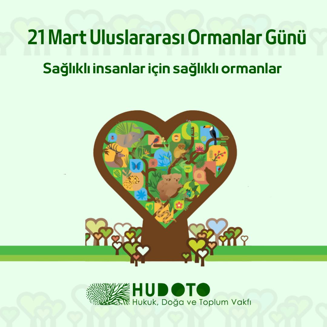 Uluslararası Ormanlar Günü - 21 Mart